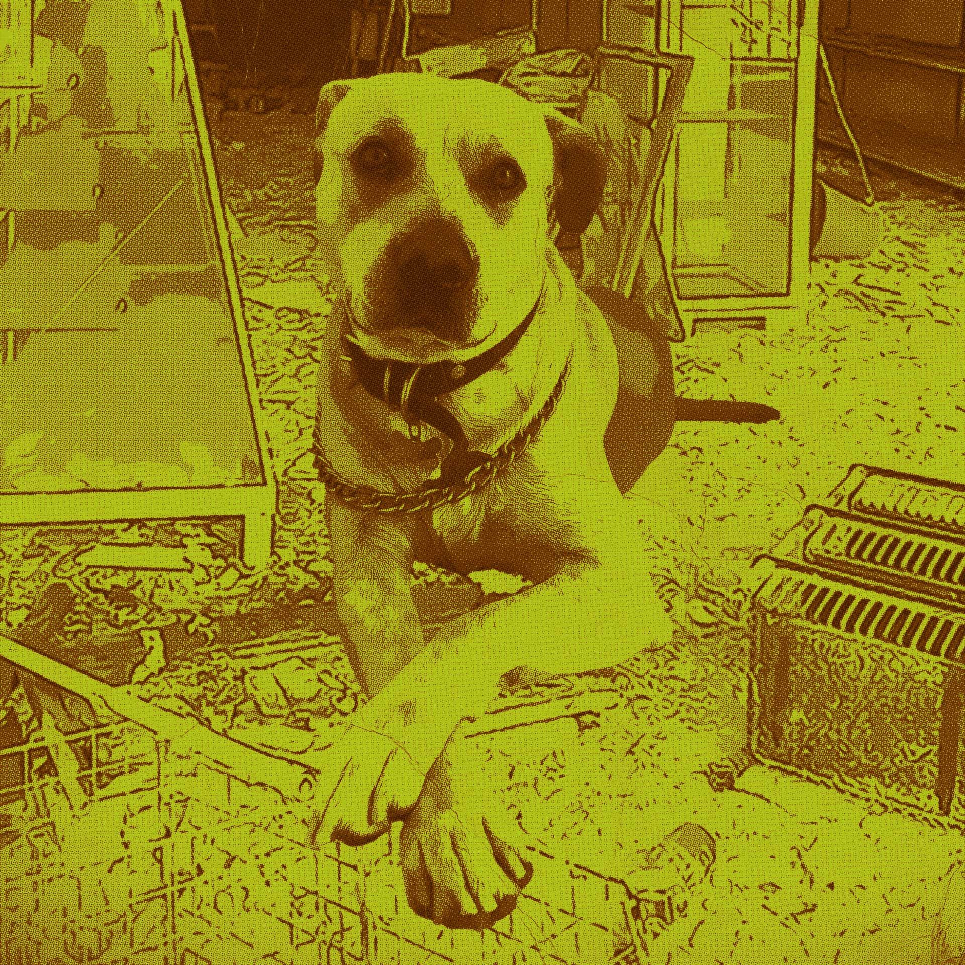 Alice in Chains